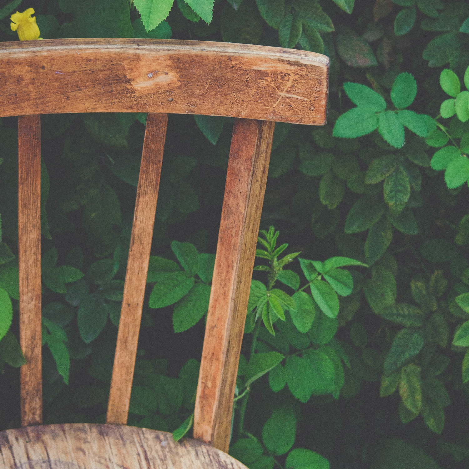 imagen de Terapia Individual